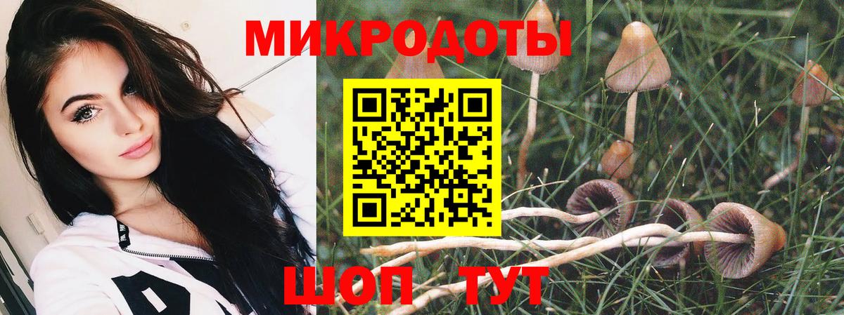 закладка  Вход с VPN  Можайск  Псилоцибиновые грибы Psilocybe 